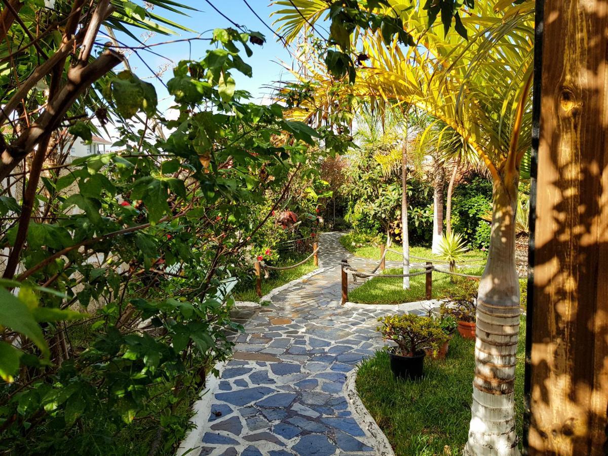 Apartmento Tabares Tejina Εξωτερικό φωτογραφία